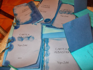 photo/07b067f6-b8a5-4e1a-83c5-a393396169d2-3