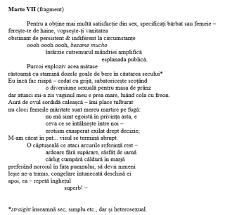 photo/72bd30ec-33d8-4e00-8386-19acbd54e6da-3